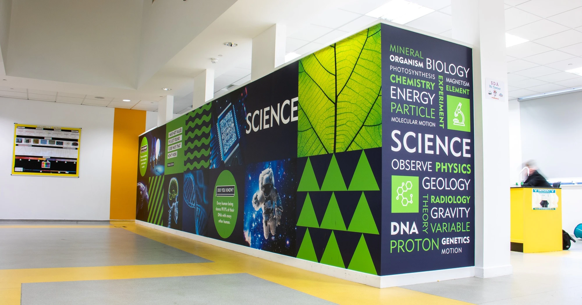 Wall Graphic