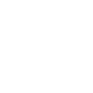 https://d1ah4myvog1olc.cloudfront.net/icons/Video.webp