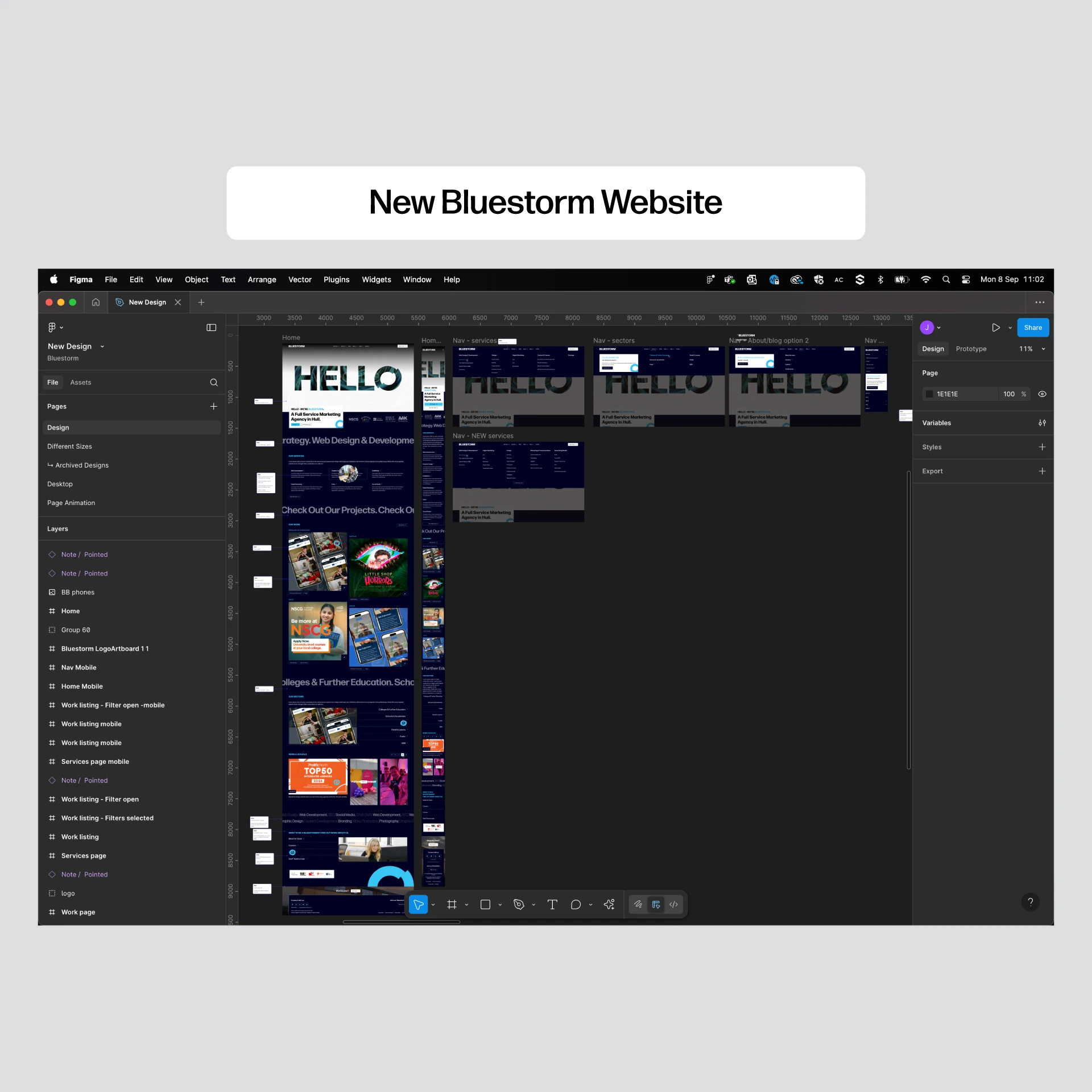 New-Bluestorm-Website