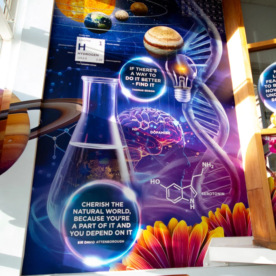 Snaith School Wall Graphics